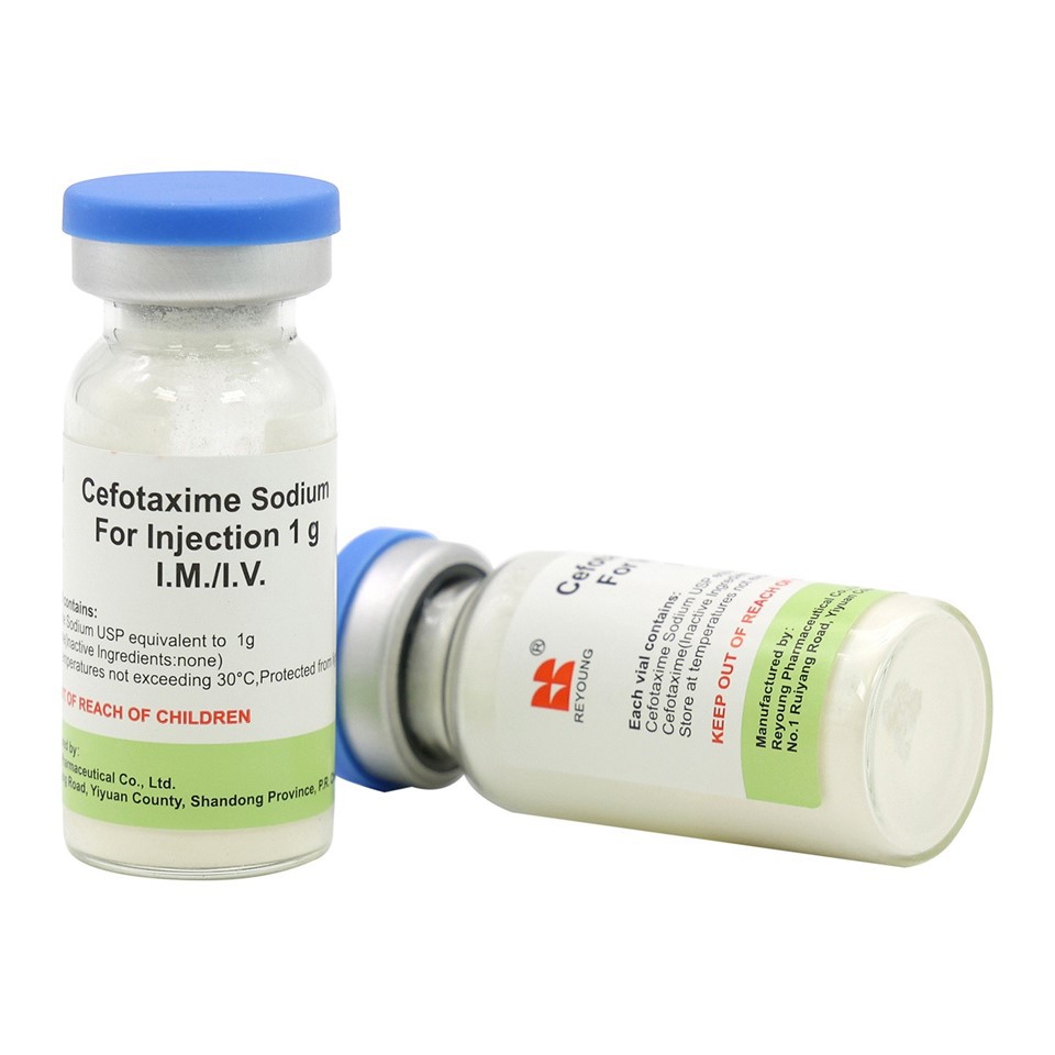 Cefotaxime Sodium For Injection Powder